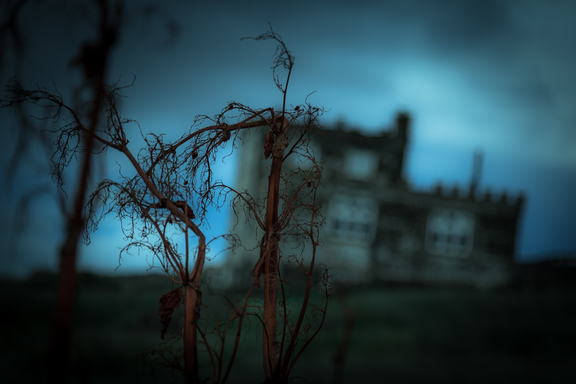 Photograph from UNNAMED DARKNESS
